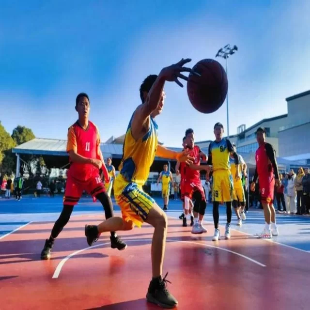篮球季后赛走势解析:数据视角下的深度剖析 专稿第12132期 | BOYU Sports